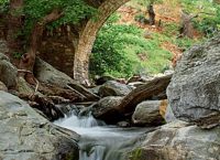 Η επίδραση των ήχων της φύσης στον άνθρωπο