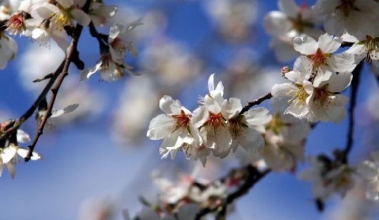 Καλοκαιρινός ο καιρός, άνοδος της θερμοκρασίας