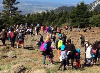 Εύβοια: Ολοκλήρωση εθελοντικής δενδροφύτευσης στη Ράχη Διρφύος