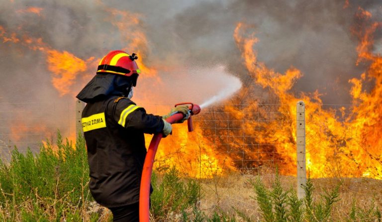 Υπό έλεγχο η φωτιά στην περιοχή Παναρίτι Ξυλοκάστρου