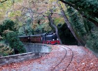 Εκτροχιάστηκε το τρενάκι του Πηλίου – Τρόμος για οικογένειες με παιδιά!