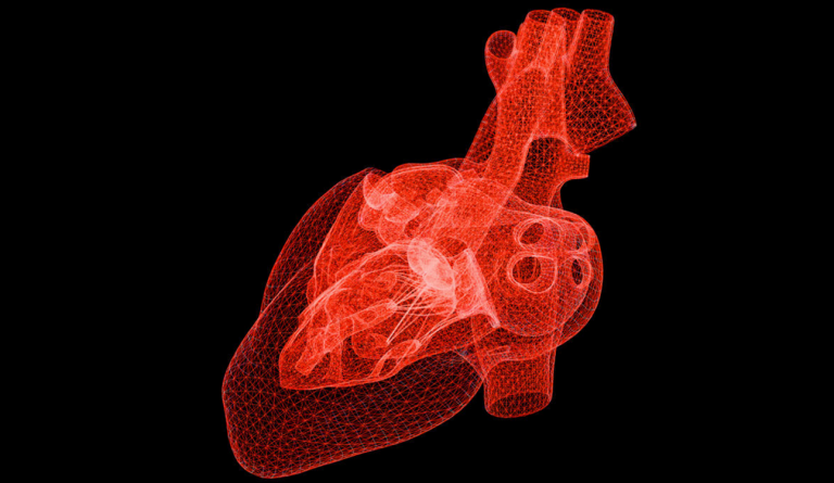 Τεχνητή νοημοσύνη πρόγνωσης καρδιακών νοσημάτων