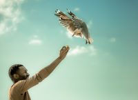 Fast Forward Festival 4 στη Στέγη