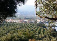 Εντοπίστηκαν 40 πρόσφυγες σε αγρόκτημα στη Μεσσηνία