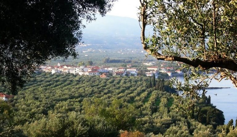 Εντοπίστηκαν 40 πρόσφυγες σε αγρόκτημα στη Μεσσηνία