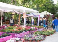 Κινητή Μονάδα Μαστογράφου στο Δήμο Κηφισιάς