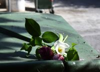 Σοκάρει ο δίδυμος αδερφός της 6χρονης Στέλλας: Ο μπαμπάς θυμώνει εύκολα