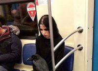 Viral: Γυναίκα μπήκε στο Μετρό της Μόσχας μαζί με το… κοράκι της (pic)