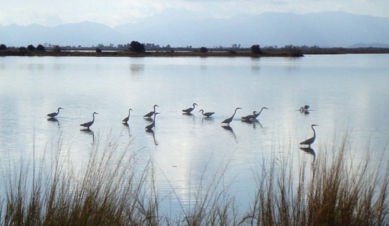 Έργα ανάπλασης στην παραλίμνια ζώνη της λίμνης Τριχωνίδας