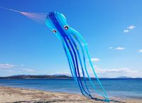Έρχεται το 1ο Kite Parade – Γιγάντια ψάρια θα… “κολυμπήσουν” στον αττικό ουρανό