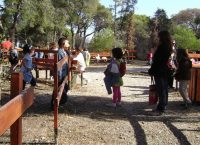 Ξεκινά η υποβολή δικαιολογητικών για τις κατασκηνώσεις του Δήμου Δέλτα