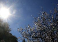 Καιρός: Ζέστη και υγρασία
