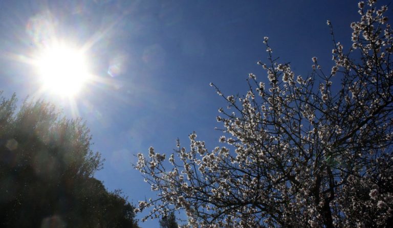 Ζέστη και καλοκαιρία – Στους 31 βαθμούς η θερμοκρασία