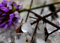 Η χαλαζόπτωση κατέστρεψε καλλιέργειες σε Διδυμότειχο και Ορεστιάδα
