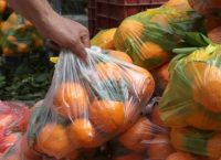 Πέλλα: Οι βροχοπτώσεις έπληξαν τις εποχιακές καλλιέργιες