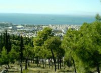 Θεσσαλονίκη: Bρέθηκε στρατιωτικό βλήμα στο δάσος Σέιχ Σου – Μεταφέρθηκε σε πεδίο βολής (vid)