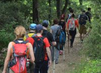 Ο Δήμος Βριλησσίων διοργανώνει πεζοπορία στην Πεντέλη
