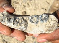 Νέα έρευνα: Πολύ πιθανό ο πρώτος άνθρωπος να εμφανίστηκε στην Ελλάδα (pics)