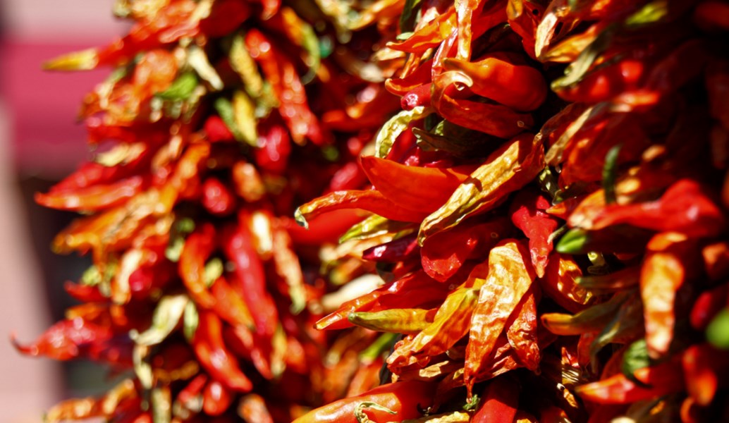 Πιπεριές τσίλι. Πόσα ξέρετε για αυτές;