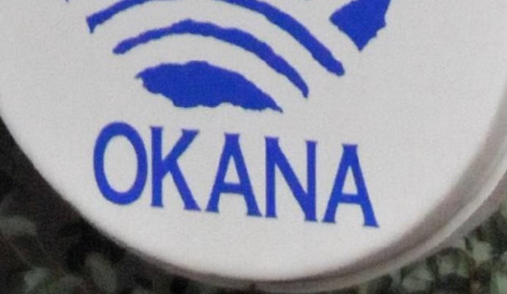Το νέο Διοικητικό Συμβούλιο του ΟΚΑΝΑ