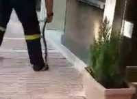 Τρόμος σε σούπερ μάρκετ στη Θεσσαλονίκη – Τι εντόπισαν σε καρότσι