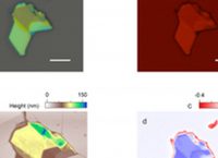 Επιστήμονες δημιούργησαν τον πρώτο μαγνήτη δύο διαστάσεων