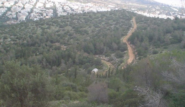 Γνωρίζουμε το Όρος Αιγάλεω – Υπερασπιζόμαστε τους δημόσιους χώρους
