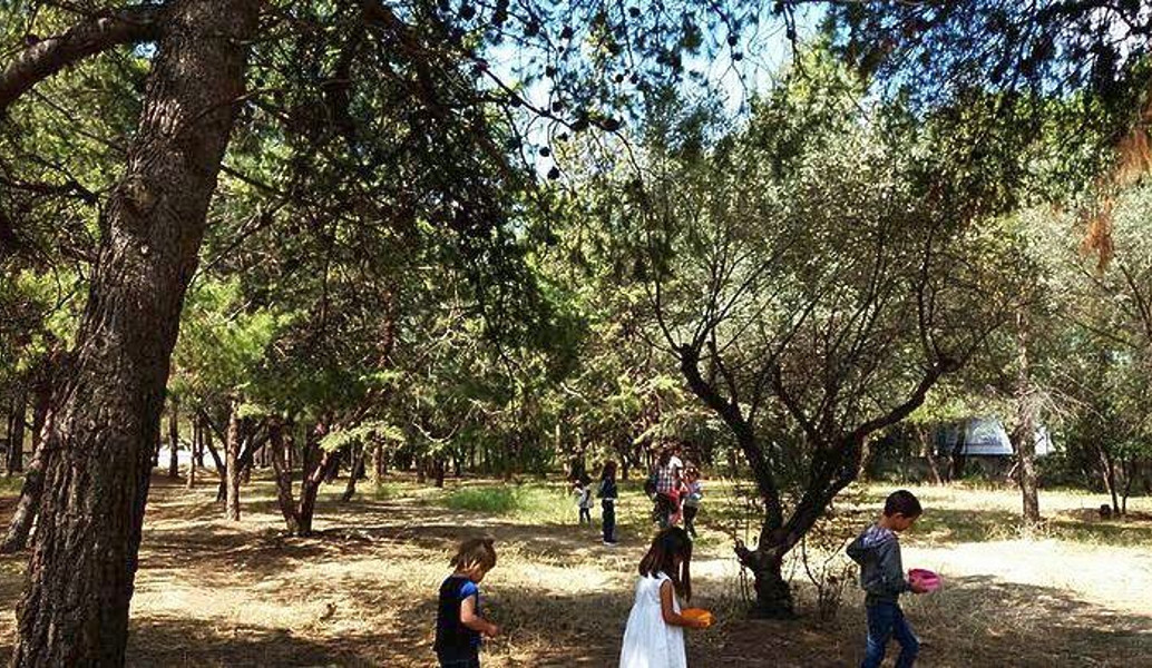 Το πάρκο «Αντώνης Τρίτσης» μετατρέπεται σε εργαστήρι περιβαλλοντικής ευαισθητοποίησης και εκπαίδευσης