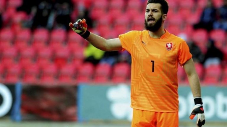 Στη λίστα του ΠΑΟΚ ο Κούμπεκ (vid)