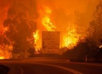 (upd) Πορτογαλία: Τριήμερο εθνικό πένθος για τα θύματα της πυρκαγιάς – Στους 62 οι νεκροί (pics & vid)