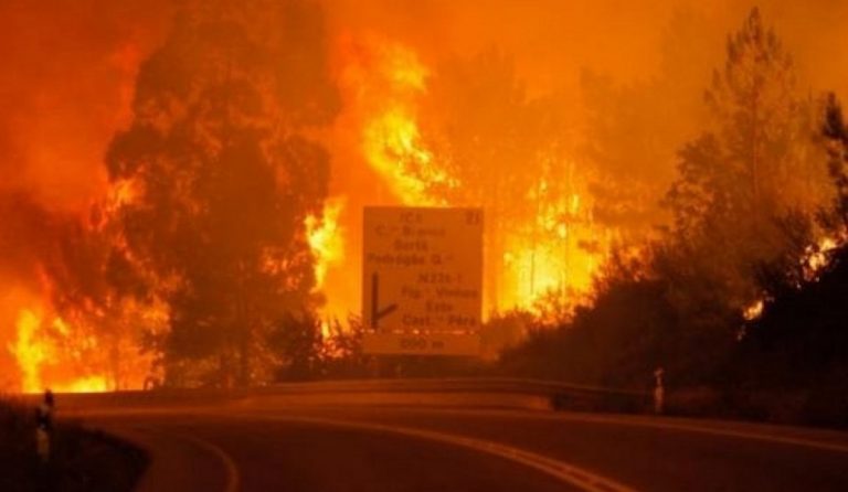 (upd) Πορτογαλία: Τριήμερο εθνικό πένθος για τα θύματα της πυρκαγιάς – Στους 62 οι νεκροί (pics & vid)