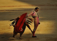 Ivan Fandino: Νεκρός ο 36χρονος διεθνούς φήμης ταυρομάχος από χτύπημα ταύρου (pics & vid)