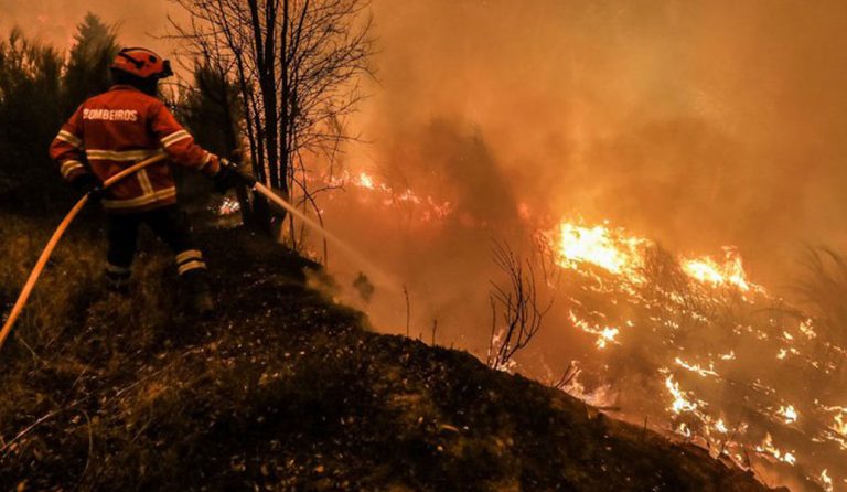 Καμμένη γη η Πορτογαλία – Στάχτη 1,4 εκατ. στρέμματα