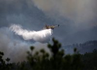 (upd) Σε ύφεση η μεγάλη πυρκαγιά στο Κρυονέρι Αττικής – Σε δασική έκταση (vids)