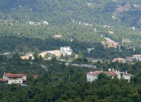 Παράταση για τις εξαγορές δασικών εκτάσεων