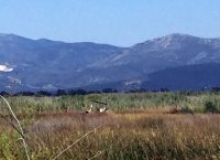 Η Περιφέρεια Αττικής για την τραγωδία στον Σχινιά: Βαθιά οδύνη για τον θάνατο των δύο ανθρώπων