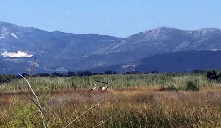 Η Περιφέρεια Αττικής για την τραγωδία στον Σχινιά: Βαθιά οδύνη για τον θάνατο των δύο ανθρώπων