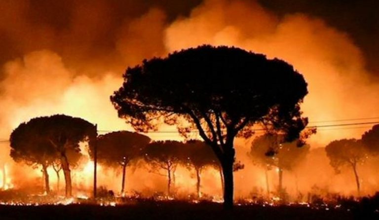 Δασική πυρκαγιά στη νότια Ισπανία – Εκκένωσαν την πόλη Ουέλβα