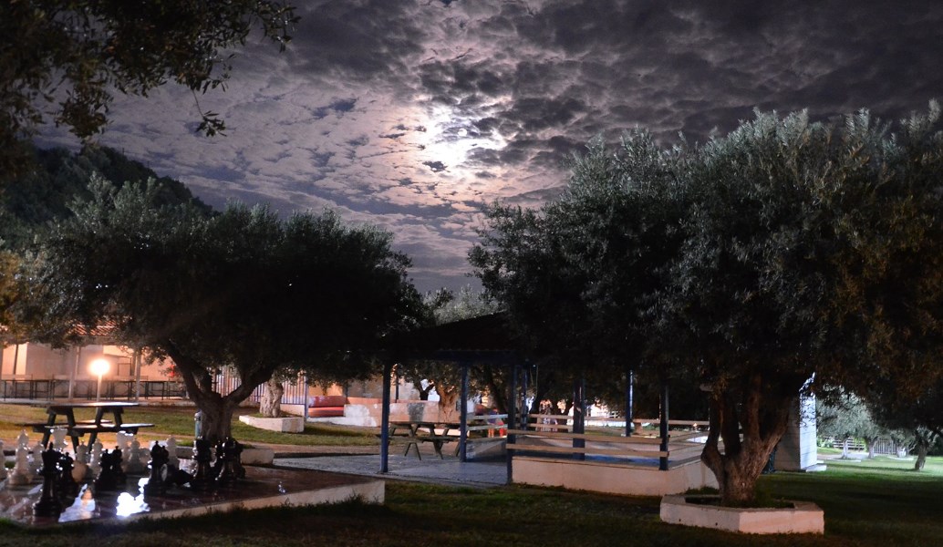 Το “μικρόβιο” της κατασκήνωσης