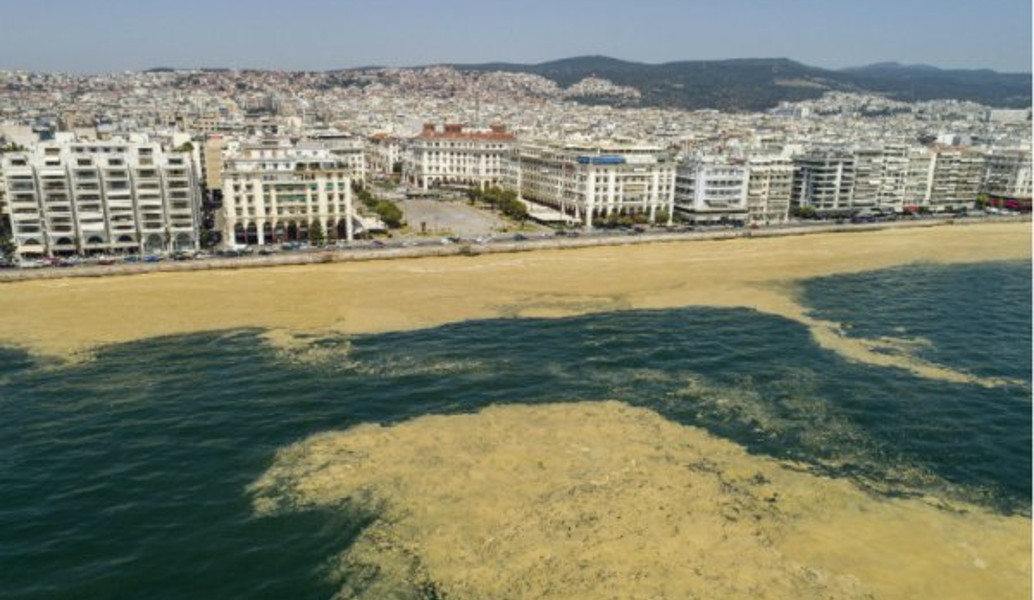 Ο Ιβάν Σαββίδης θέλει να καθαρίσει τον Θερμαϊκό από το φυτοπλαγκτόν