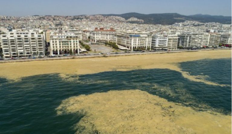 Απολύτως κατάλληλα τα νερά για κολύμβηση διαβεβαιώνει ο δήμος Θερμαϊκού