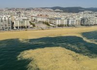 Έπος: Ο Σερβετάς προσπαθεί να… καθαρίσει τον Θερμαϊκό (vid)