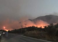 Πάτρα: Πυρκαγιά κοντά στο Πανεπιστήμιο – Ενισχύονται οι πυροσβεστικές δυνάμεις (pics&vid)