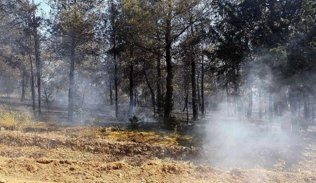 Πυρκαγιά στη Λιθακιά Ζακύνθου