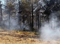 Πολύ υψηλός κίνδυνος πυρκαγιάς και αύριο