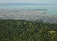 Ξεκινά ο καθαρισμός του Σέιχ Σου