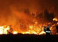 Πυρκαγιά στην ανατολική Μάνη, στην περιοχή Κοκκάλα