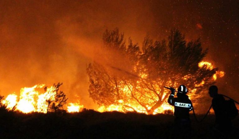 Πυρκαγιά στην ανατολική Μάνη, στην περιοχή Κοκκάλα