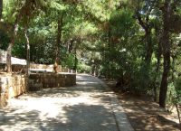 Άσθμα: Αυτές είναι οι κατάλληλες περιοχές για να ζήσετε εάν έχετε την πάθηση