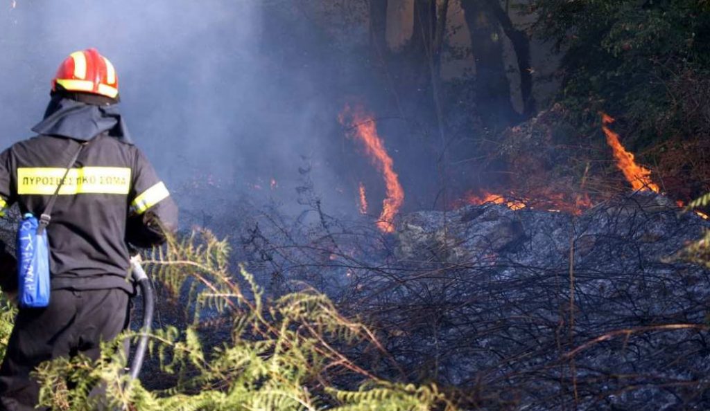 Υπό μερικό έλεγχο η φωτιά στην περιοχή Κούμανη της Ηλείας